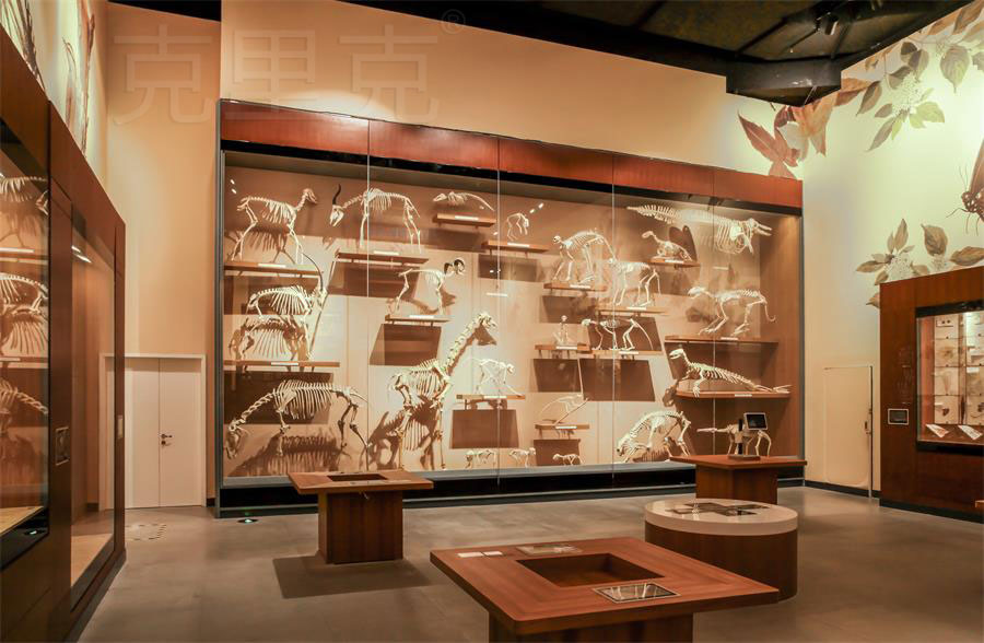 博物館高展柜尺寸設(shè)計(jì)標(biāo)準(zhǔn) 博物館高展柜尺寸設(shè)計(jì)標(biāo)準(zhǔn)