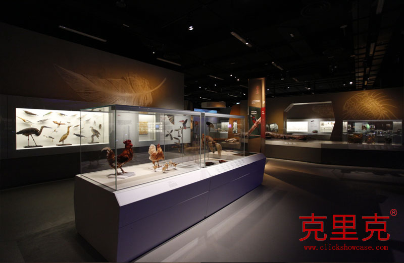 1616987590304090.jpg 1608252057_AUTO.jpg