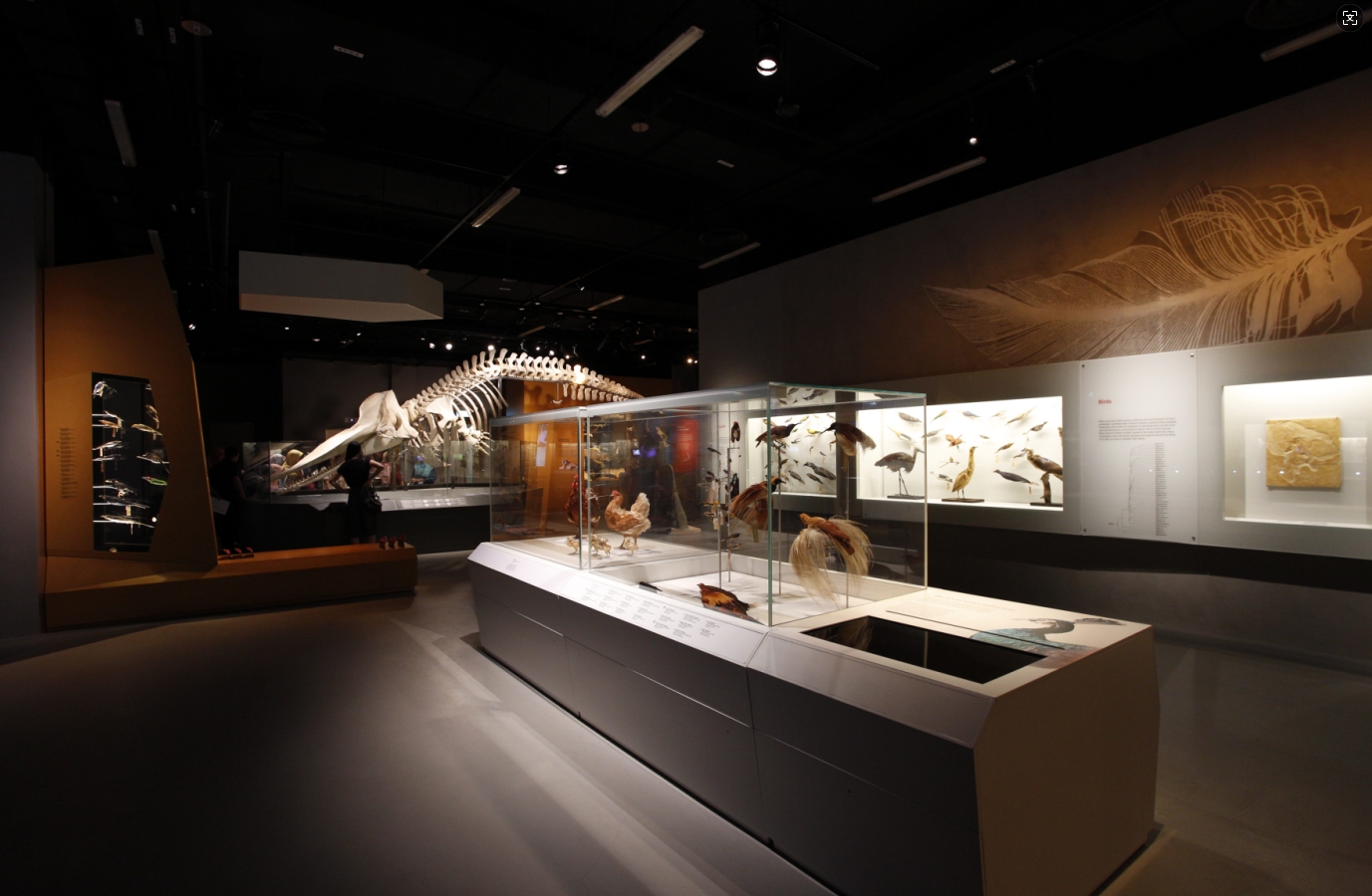 博物館敘事展覽:互動性原則 博物館敘事展覽:互動性原則