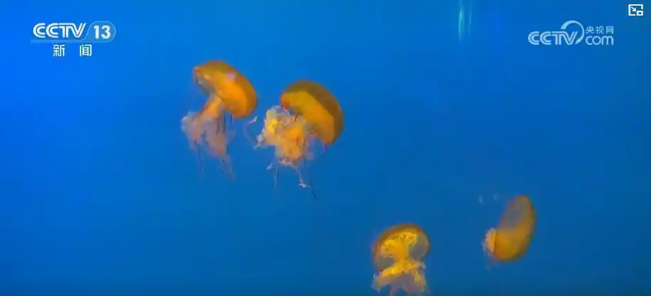 1754632245799375.png f7246b600c338744fd5f6e7d2a9b9ce9d62aa0b9.webp.png