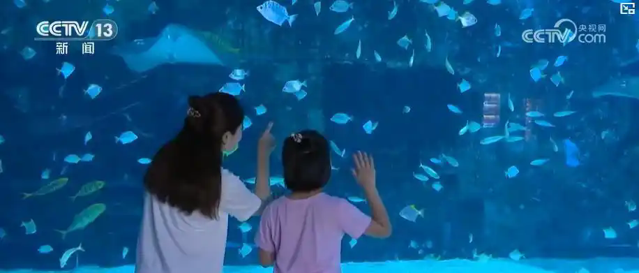 1754632257663594.png 4a36acaf2edda3cc1469dd247a7d7c11203f924d.webp.png